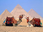 Cùng Vietravel khám phá kho báu Ai Cập